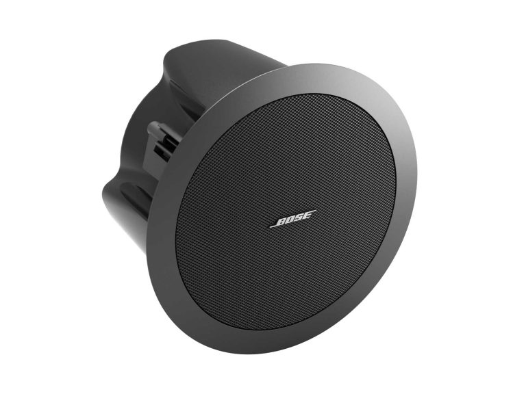 BOSE DS 16F 揚聲器